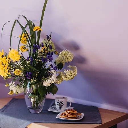 Dunajecko Dziupla ゲストハウス 3*