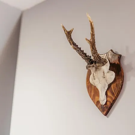 Dunajecko Dziupla ゲストハウス 3*