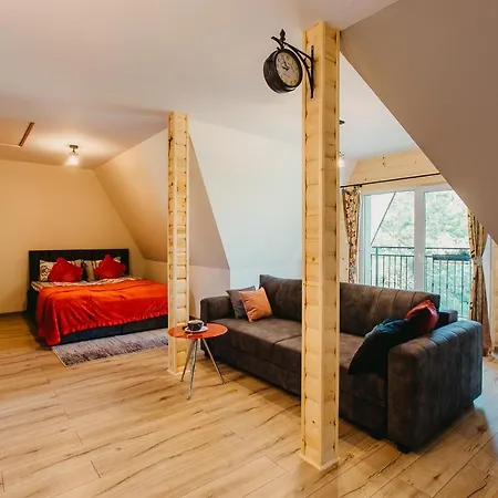 Dunajecko Dziupla 3* ビャウィ・ドゥナイェツ