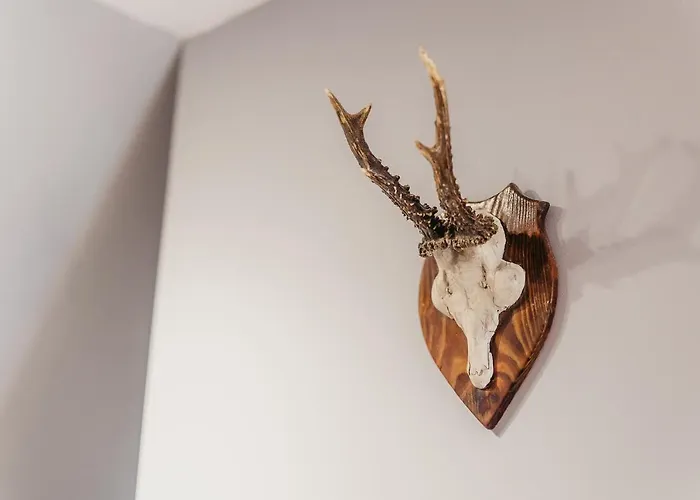 Dunajecko Dziupla Pensjonat 3*